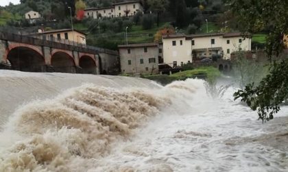 Maltempo, aggiornamento e situazione degli allagamenti: ormai passata la piena dell'Arno a Firenze